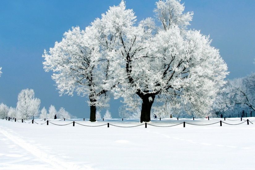 Beautiful Winter Wallpapers HD | 1920 x 1080p Download Premium Quality #HD # winter #