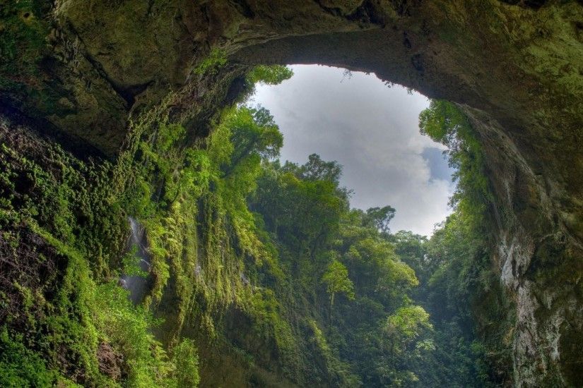 Cave in El Yunque National Forest wallpaper