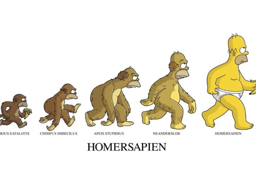 Homer Simpson Funny Cartoon Wallpaper HD