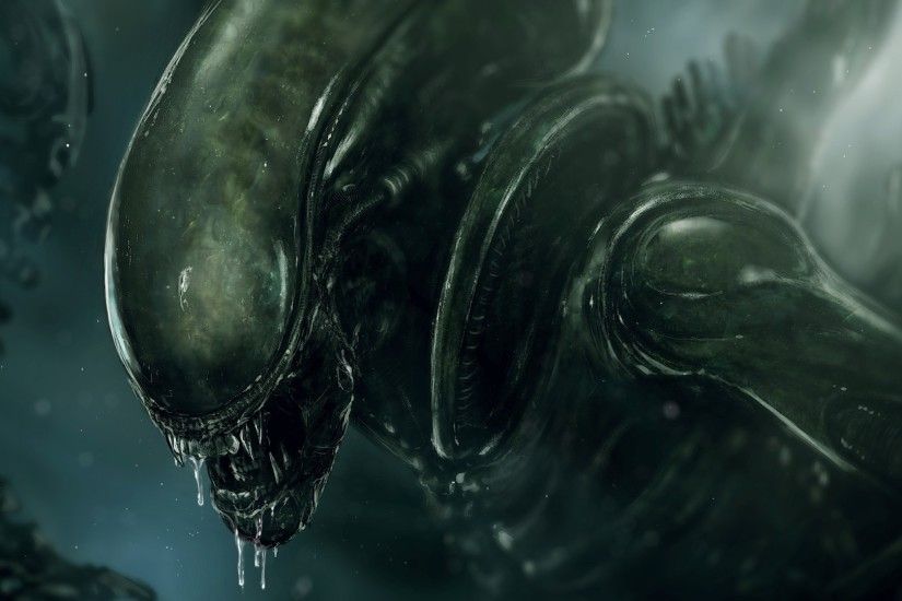 Alien (movie), Xenomorph Wallpapers HD / Desktop and Mobile Backgrounds