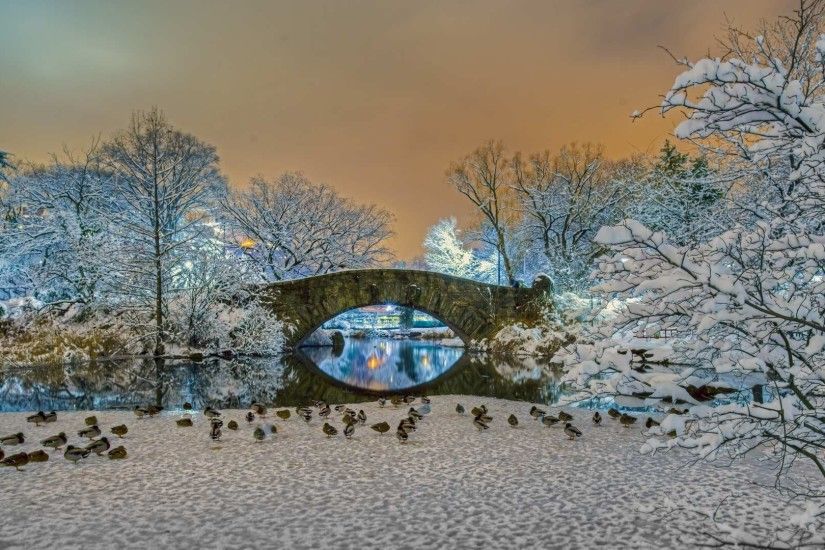 Photography - Winter Earth Bridge Central Park Snow Tree Wallpaper