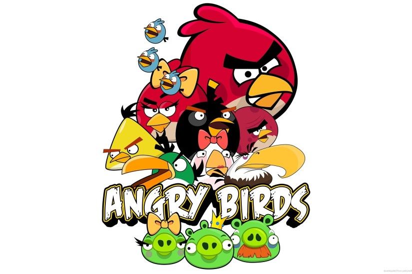 Angry Bird for 2560x1600