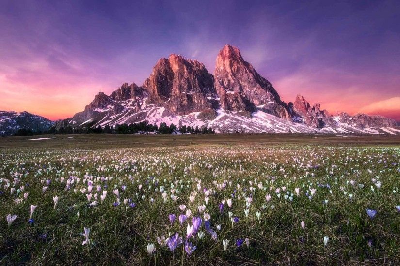 Landscapes Grass Mountain Cliff Nautre Landscape Flower 3D Nature Wallpapers  Desktop HD