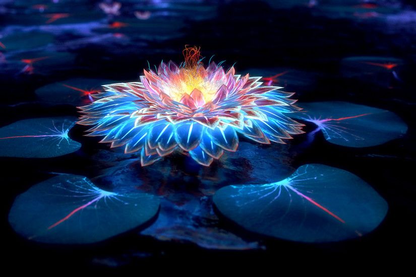 10. blue-lotus-flower-wallpaper10-600x338