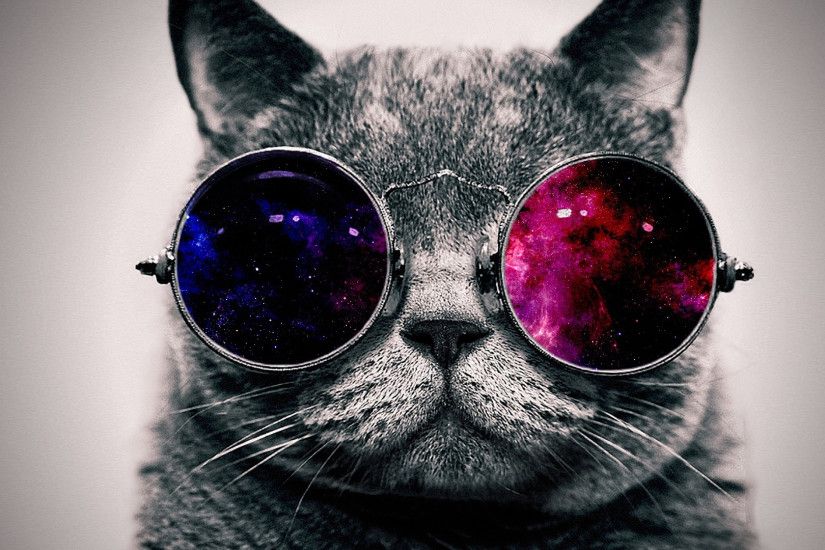 Preview wallpaper cat, face, glasses, thick 3840x2160
