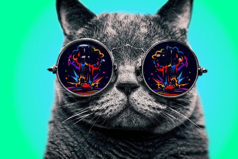 Abstract Cats Colors Digital Art Explosions Glasses Goggles Schrdinger  Spectre Steam Punk Trippy