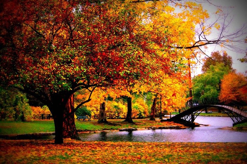 Fall-Season-Scenery-Desktop-Wallpaper