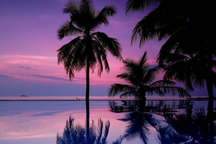 2560x1600 Wallpaper palm trees, night, silhouettes