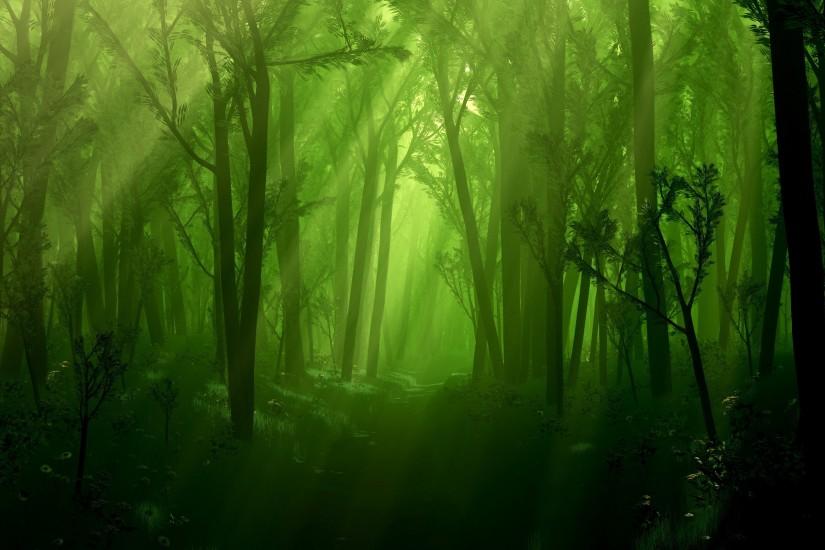 dark forest background 2560x1600 macbook