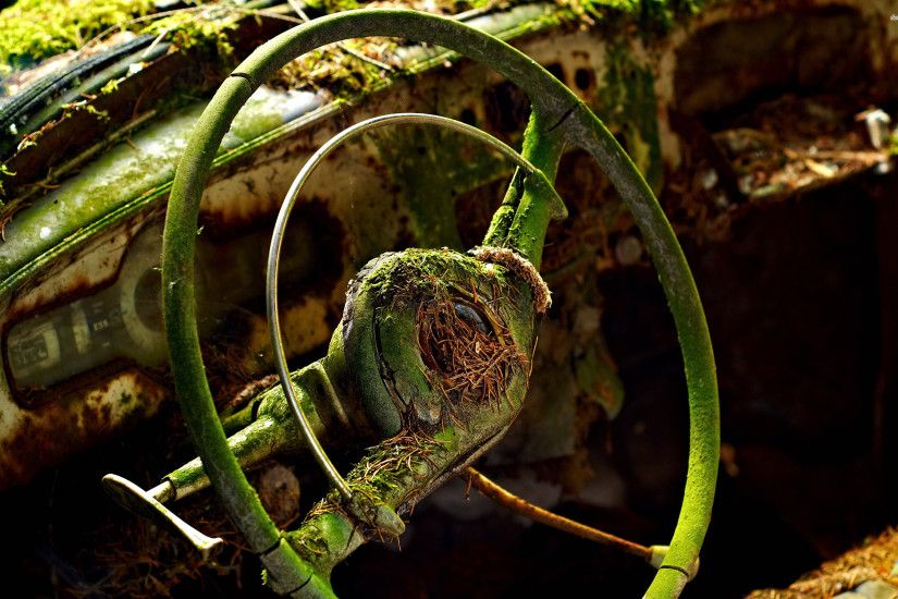 Abandoned car's steering Abandoned Wallpapers - Full HD wallpaper search