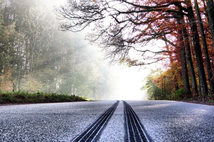 road, Asphalt, Trees, Tire tracks, Sun rays Wallpapers HD / Desktop and  Mobile Backgrounds