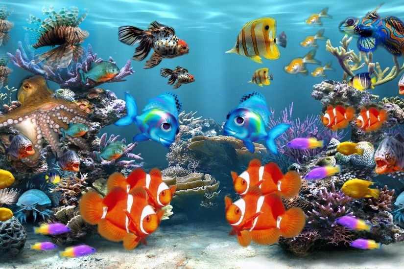 Tropical HD Fish Wallpaper. Â«
