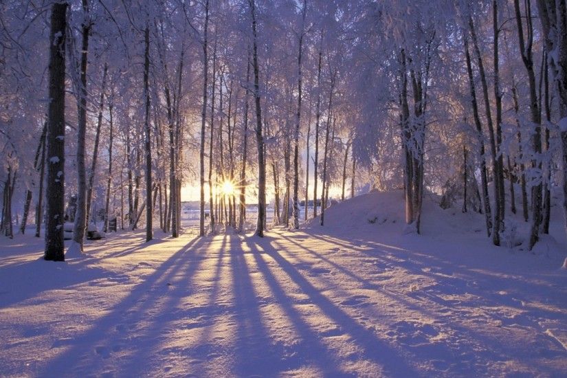1920x1080 Wallpaper sun, morning, wood, trees, shades, snow, winter