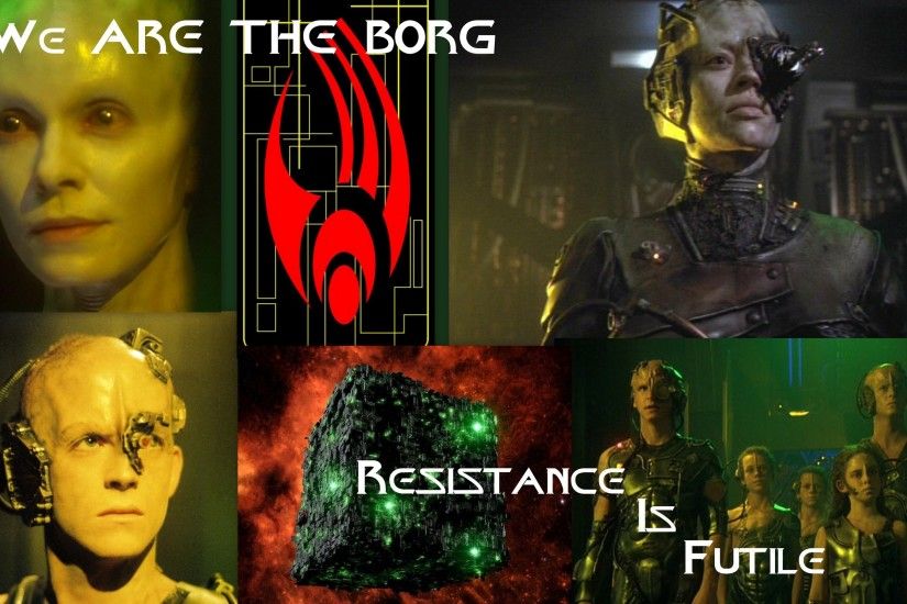 We-are-the-Borg-Voyager-themed-star-trek-