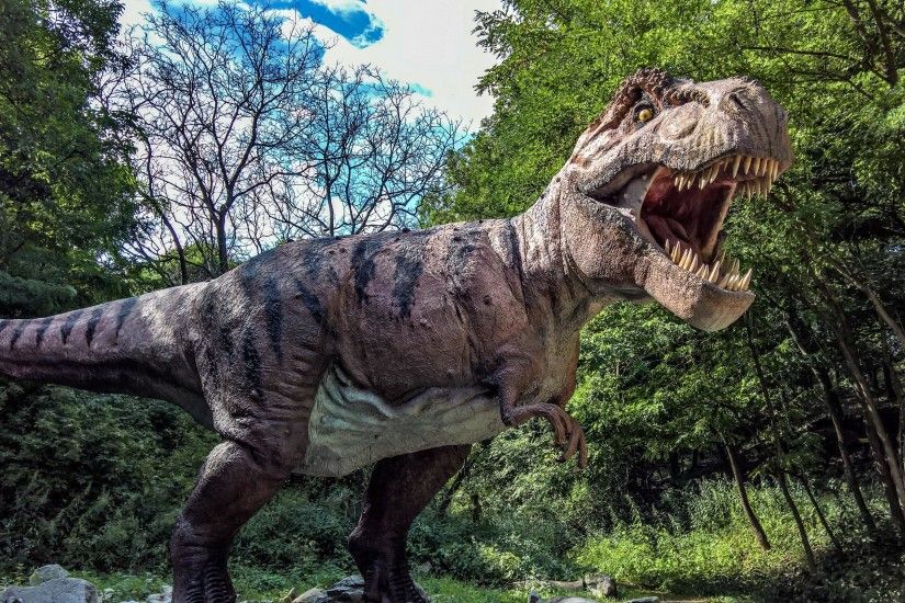 T-Rex dino in the Dino Park, Bratislava, Slovakia wallpaper