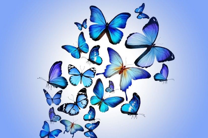 ... 23 Best Colorful And Free Butterfly Wallpapers ...