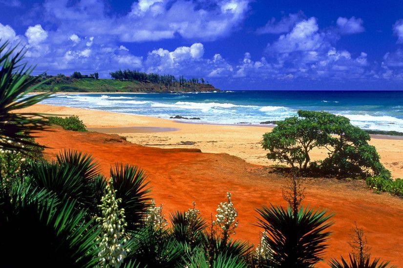 backgrounds, beach, desktop, hawaii, kealia, kauai