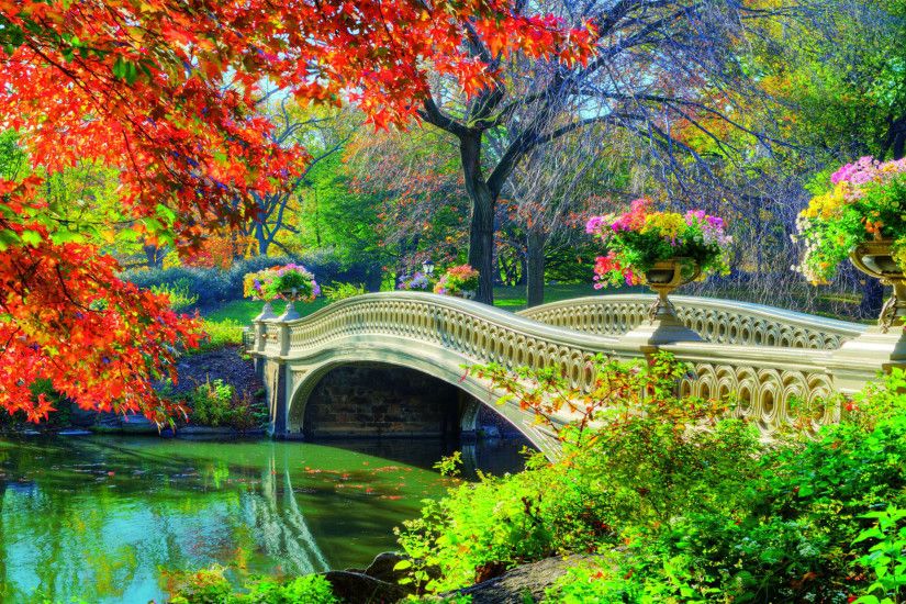 Man Made - Bridge Man Made Central Park Spring Flower White Tree Garden  Wallpaper