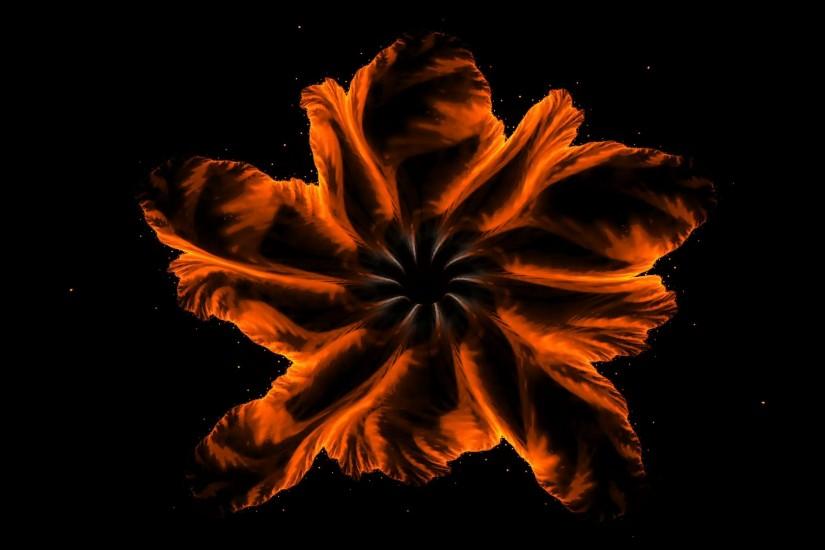 Blazing red fiery flower made of flames on black, floral colorful abstract  background, animated abstract illustration, 30fps, HD1080, seamless loop,  ...