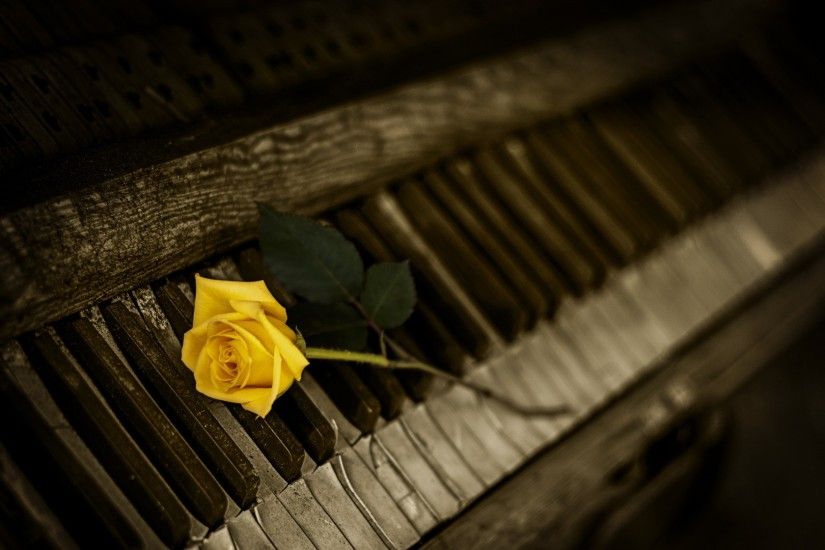 Preview wallpaper piano, rose, keys 1920x1080