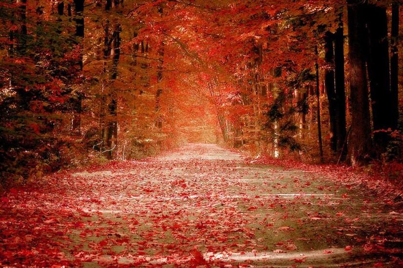 Autumn Road HD Wallpapers