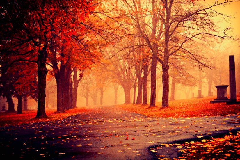 Fall Beautiful HD Wallpaper