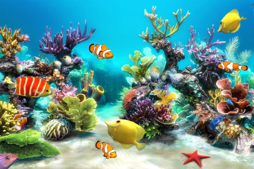 Best <b>aquarium</b> and fish live <b>wallpapers