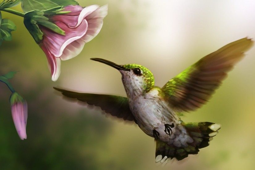 Birds and Flowers Wallpaper - WallpaperSafari