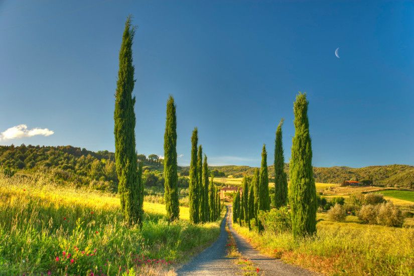 Landscapes - House Tuscany Villa Country Road Cottage Nature Wallpaper Hd  For Mobile Download for HD