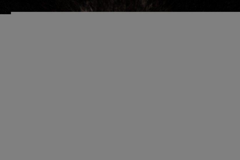 Wallpapers Nightwing Pin Black Cat Blue Eyes Free Hd Images On Pinterest  1920x1080 | #755544 #nightwing