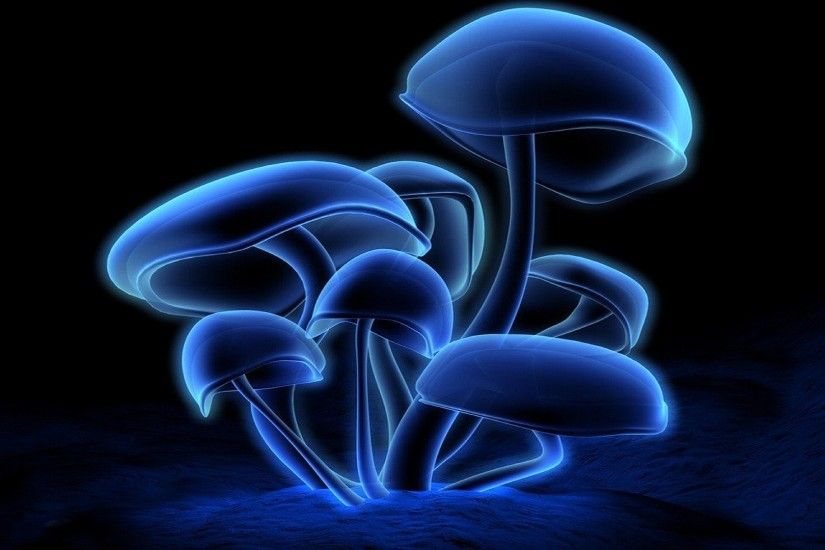 Cool Mushroom Wallpaper