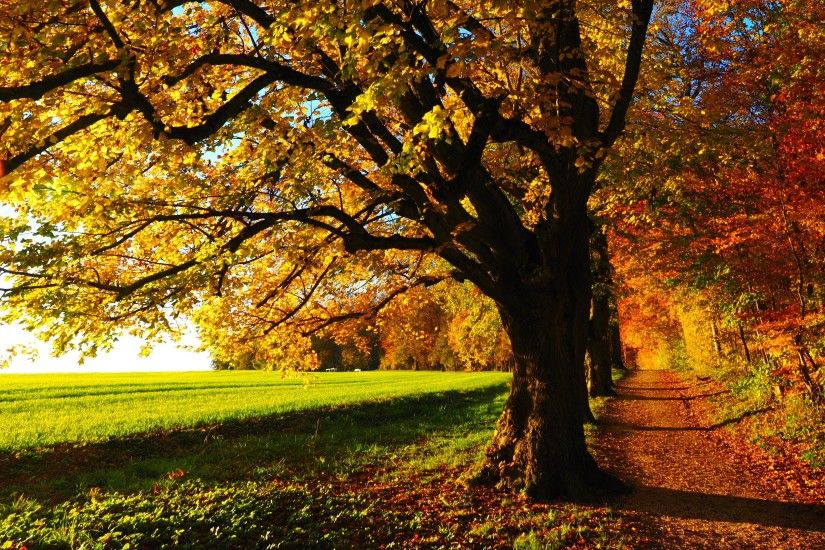 Fall-Scenery-Wallpaper-Download-Free