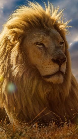 Preview wallpaper lion, king of beasts, mane, savannah 1440x2560