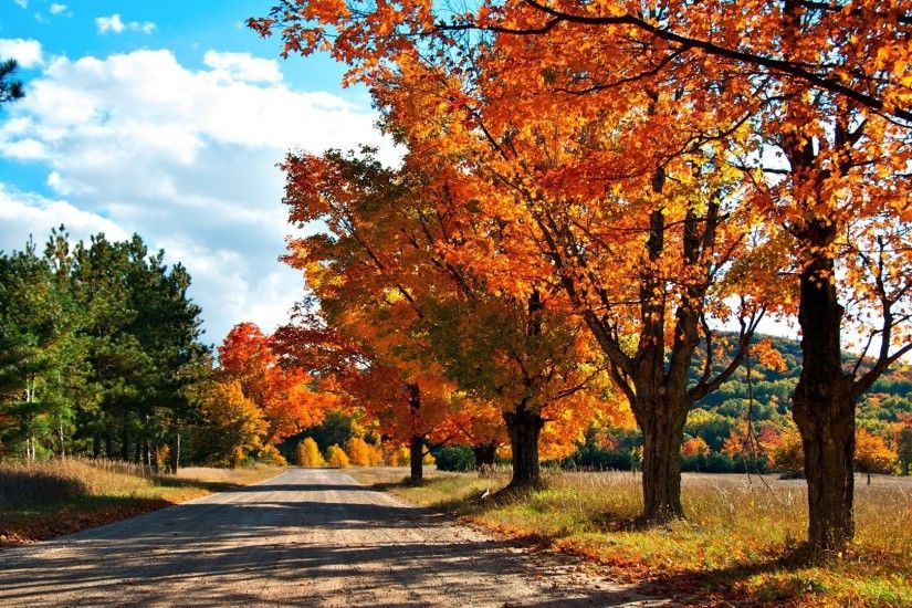 Country Road Autumn Colors Trees Leaves Lane Fall Tree Leafs Sky Desktop  Backgrounds - 1920x1080