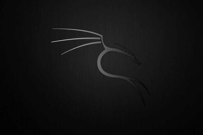 Kali Linux wallpaper ·① Download free beautiful ...