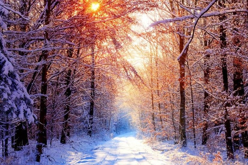 Like or share Creek Winter Forest Wallpapers X Winter Snowy Forest .