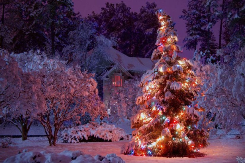 Christmas Snow Scene with Light