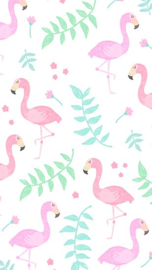 Wallpaper iPhone Flamingo Wallpaper, Wallpaper Iphone Cute, Wallpaper For  Your Phone, Girl Wallpaper