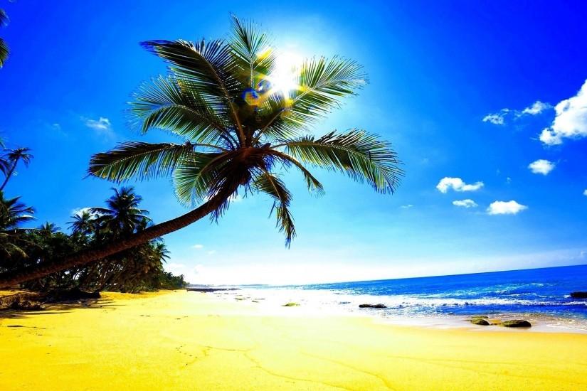 Preview wallpaper beach, sand, palm trees, sun, glare, ocean, tropics