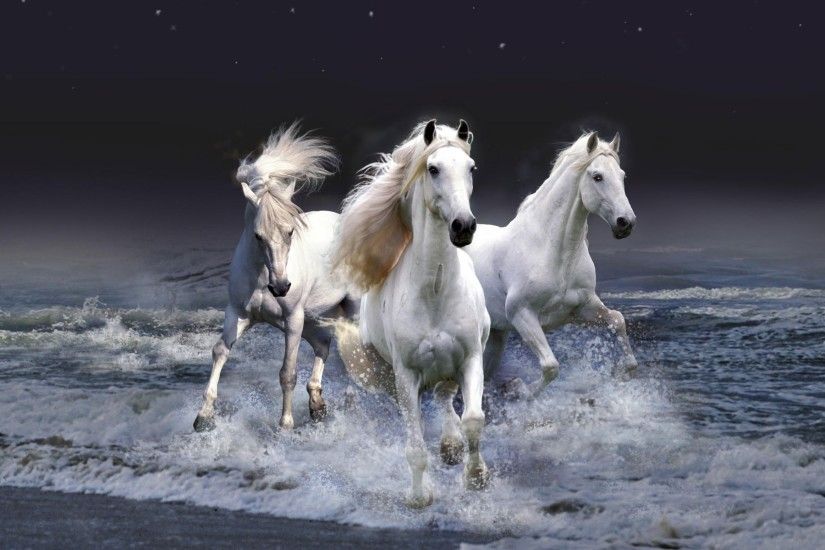 Mystic Horses