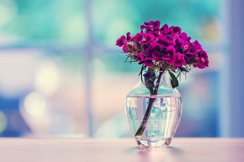 ... Wallpaper flowers vase window | Flowers Vase Dianthus | watercolor  subjects .