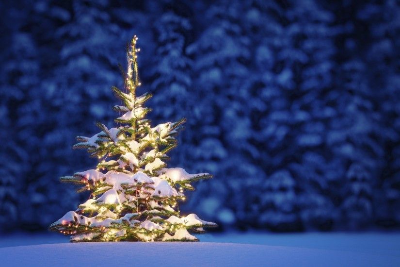 Beautiful Christmas Tree Snow