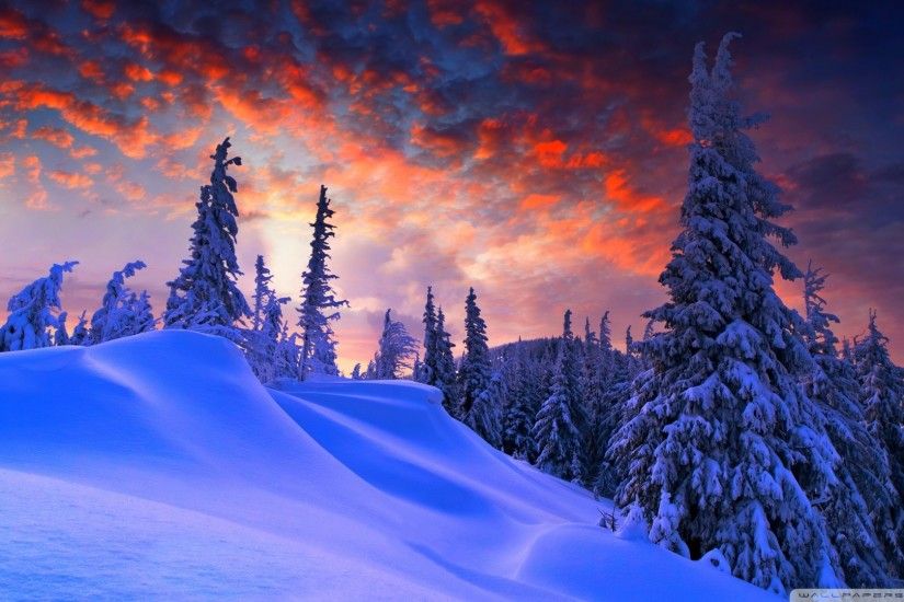 Winter Wallpaper Backgrounds Widescreen Best HD Photos of