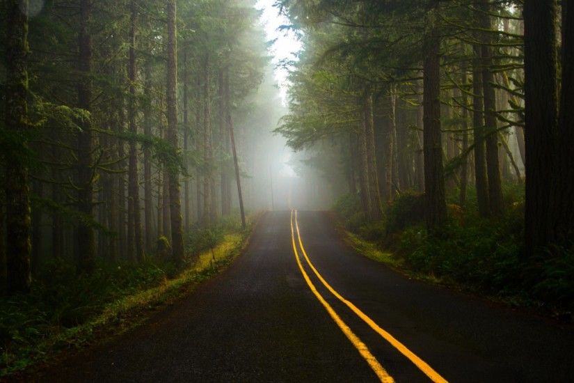 road, Dark, Forest Wallpaper HD