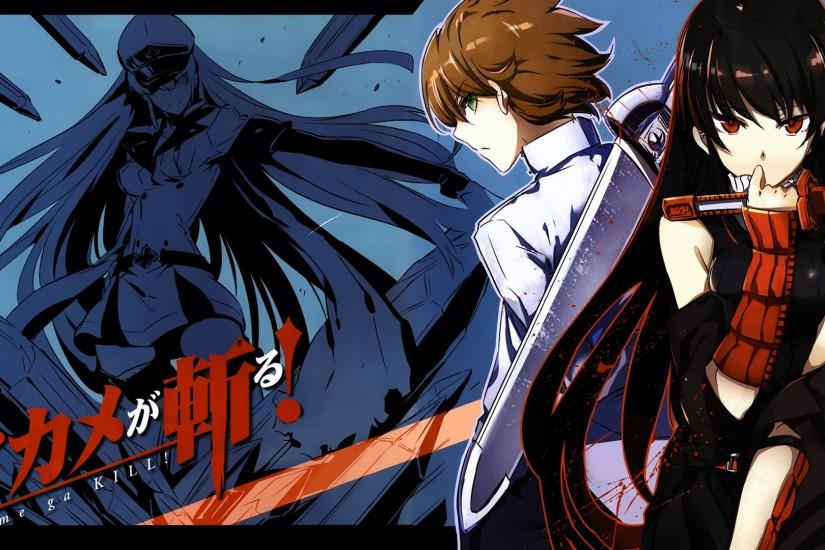 Akame Ga Kill | Esdeath Tatsumi Akame ga Kill. Anime HD 1920x1080 1080p  wallpaper and