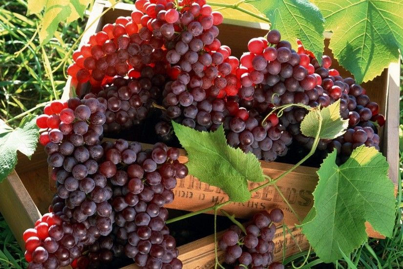 1920x1080 Wallpaper grapes, fruit, boxes, clusters