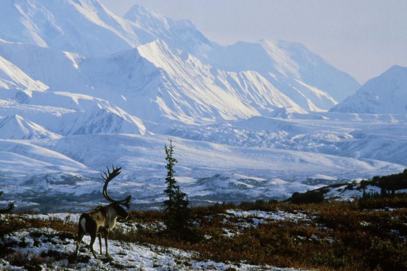 Alaska Pure White Mountains Desktop Background. Download 1920x1200 ...