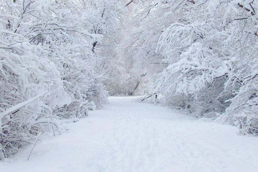 Beautiful places Â· Winter Snow Wallpaper ...