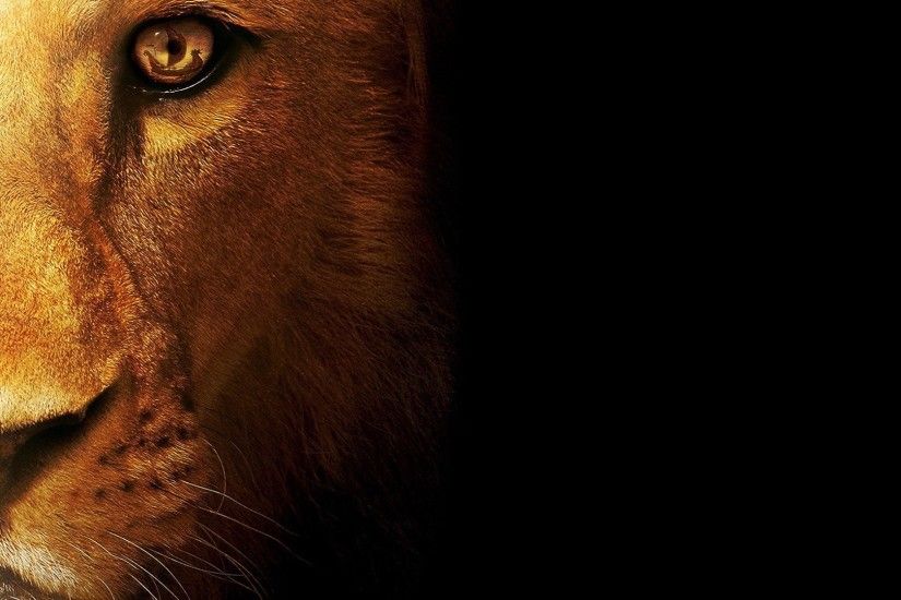 Lion HD Wallpapers Lion HD Pictures Free Download HD 1920Ã1080 Lion Image  Wallpapers (