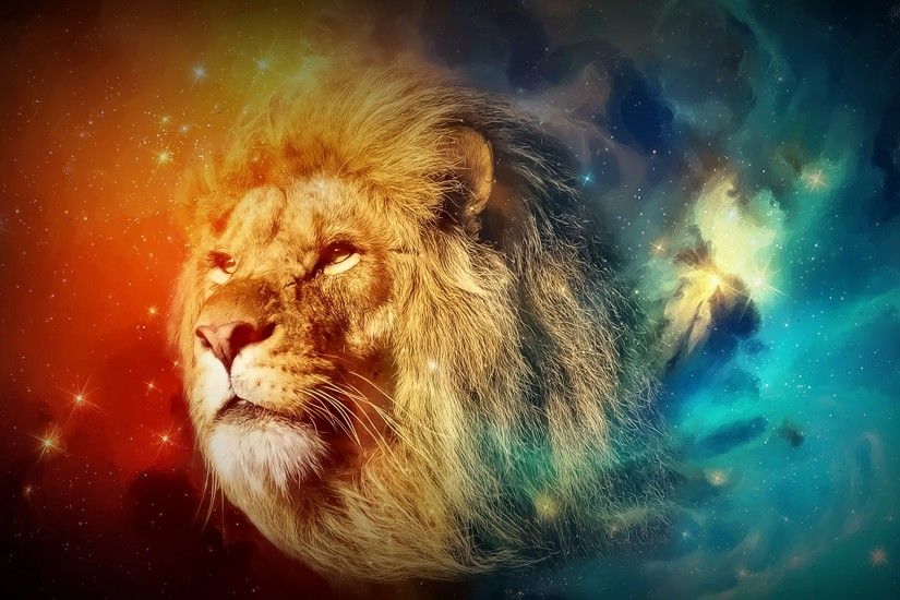 Lion Space Animal Photography Wildlife Photo Wide Screen Desktop Background  Images